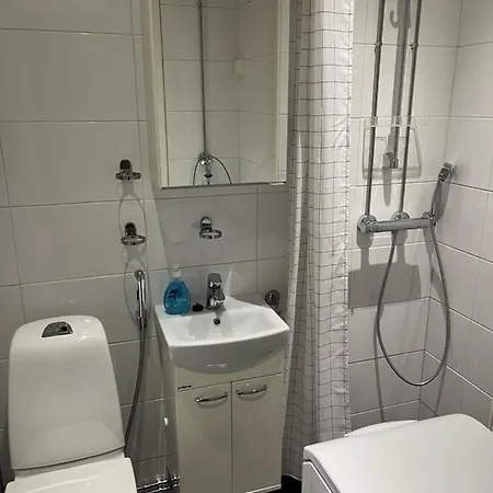 For Four At The Center Апартаменты Рованиеми